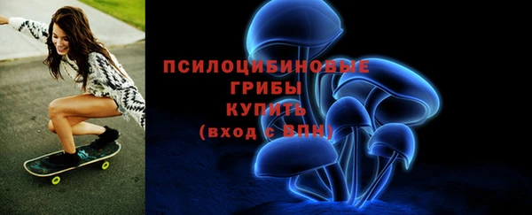 соль ск Верея
