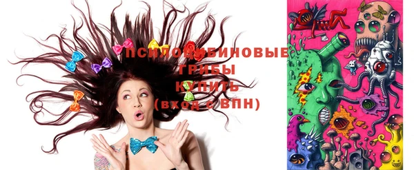 соль ск Верея